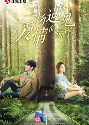 A Journey to Meet Love 
