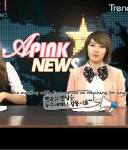 A Pink News S1 