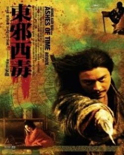 Ashes Of Time Redux 