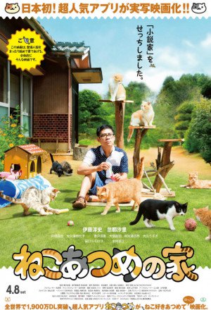 Cat Collection's House (Neko Atsume House) 