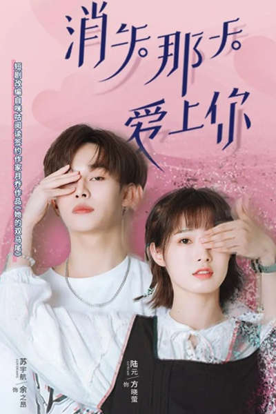 Disappearing love (2022) 