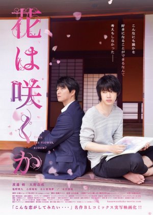 Does the Flower Bloom? (2018) 