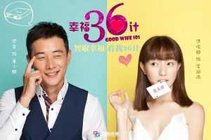 Good Wife 101 