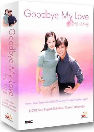 Goodbye My Love (1999) 