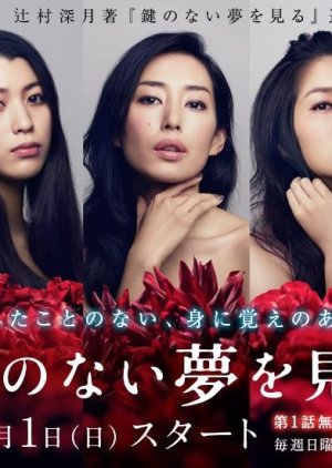 Kagi no nai Yume wo Miru (2013) 