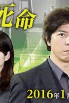 Kenji no Shime 