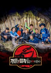 Law Of The Jungle In Komodo 