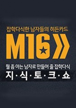 M16 