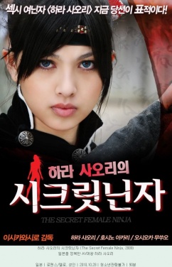 Memoirs of a Lady Ninja 