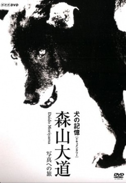 Memories of a Dog 