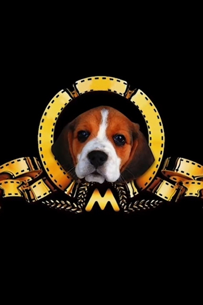 MMMTV6 
