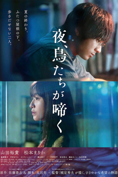 Night, Birds Scream (2022) 