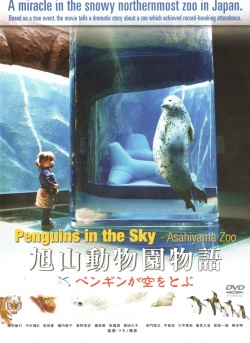 Penguins in the Sky 