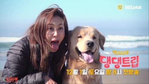 Pets GO Doggy Trip 