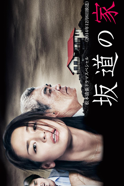 Sakamichi no Ie (2014) 