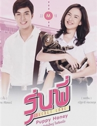 Senior Secret Love: Puppy Honey 