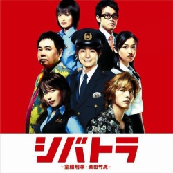 Shibatora 
