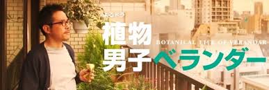 Shokubutsu Danshi Veranda Pilot 