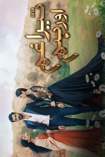 Tera Ghum Aur Hum (2020) 