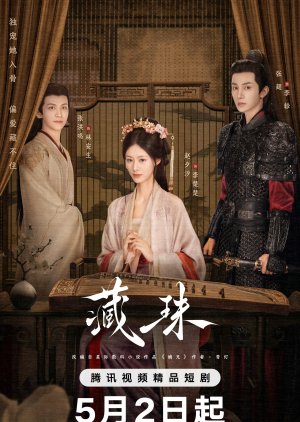 The Rise of Zhao Jiadi (2025)