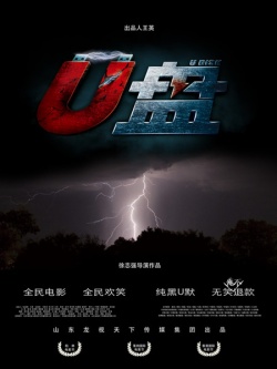 U Disk 