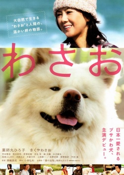 Wasao 