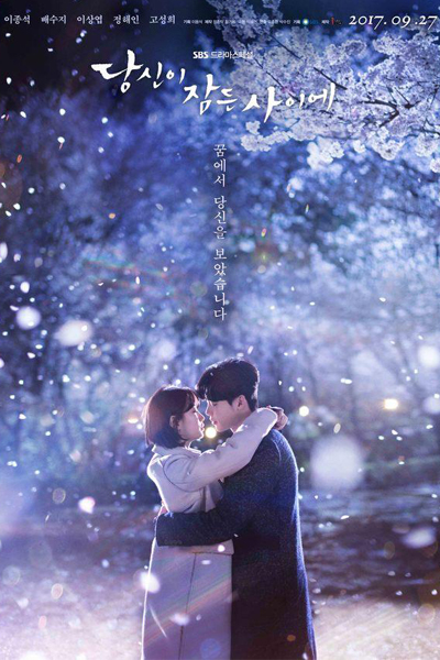 While You Were Sleeping (2017) 