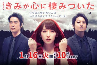 You Always Inhabit My Heart (Kimi ga Kokoro ni Sumitsuita) 